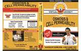 7. Osmosis & Cell Permeability